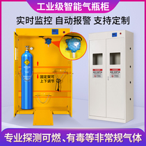 Industrial explosion proof gas cylinder cabinet toxic and harmful combustible gas storage cabinet Gas concentration detection alarm steel bottle cabinet