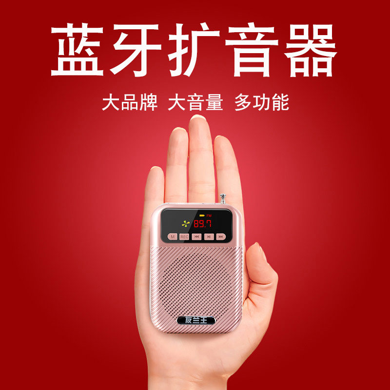 Youlan Wang class small bee loudspeaker microphone teacher dedicated mini wireless horn portable megaphone