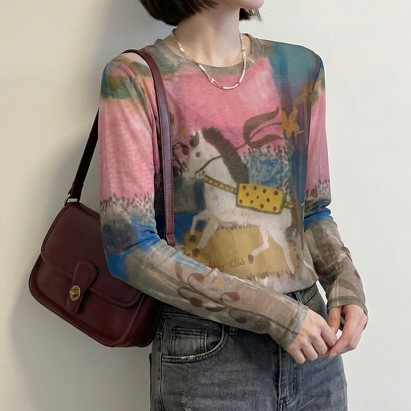 Hong Kong Style Oil Painting Pony Mesh Long-Sleeve T-Shirt for Women, 2026 Summer New Style, Slightly Sheer Sun-Protective Cover-Up, Fashionable Top Blouse