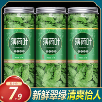 Mint leaf tea fresh dried mint edible tea something to soak in water to drink in summer cool herbal tea to clear away heat and reduce internal heat.