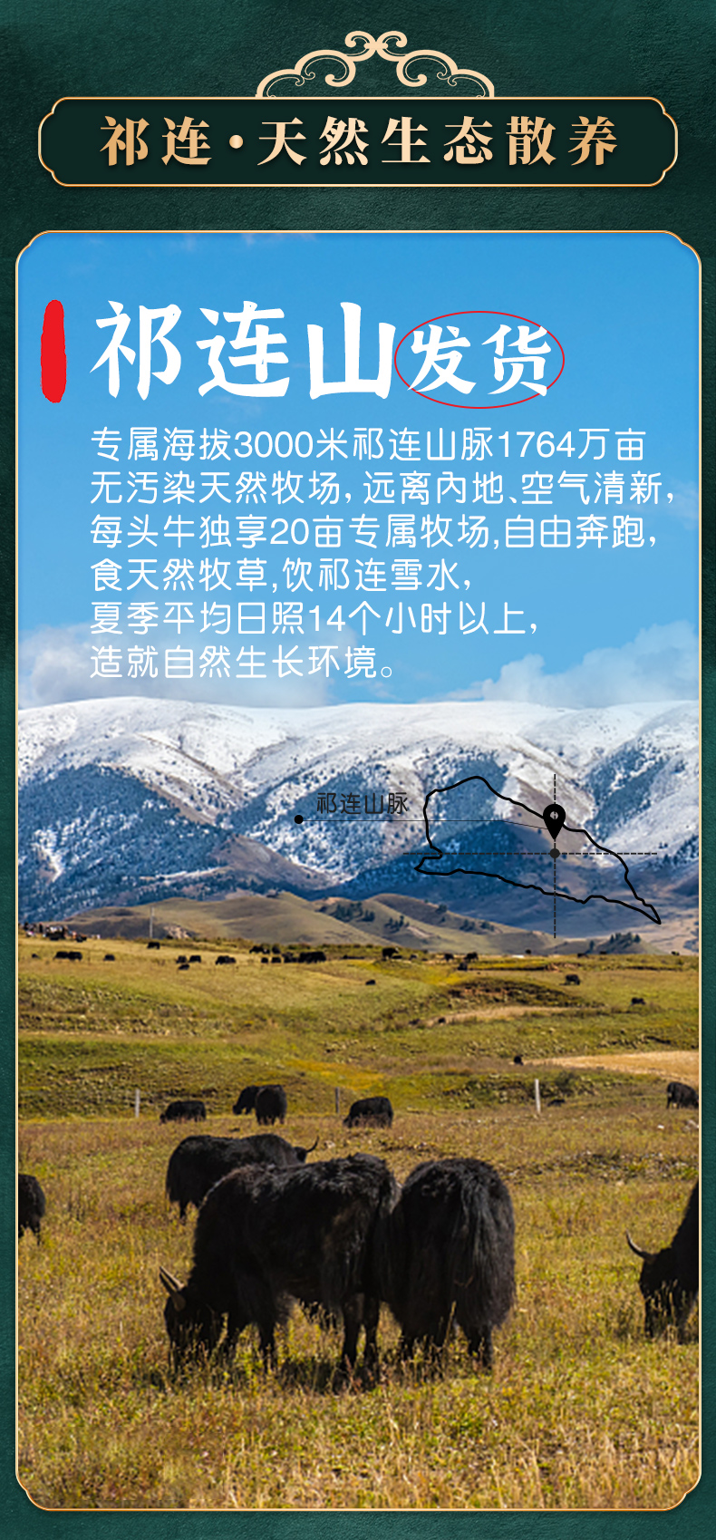 西牛优选 祁连山散养黑牦牛肉 牛腱子肉 3斤 图1