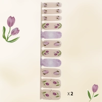 Тюльпан (Xianxian)