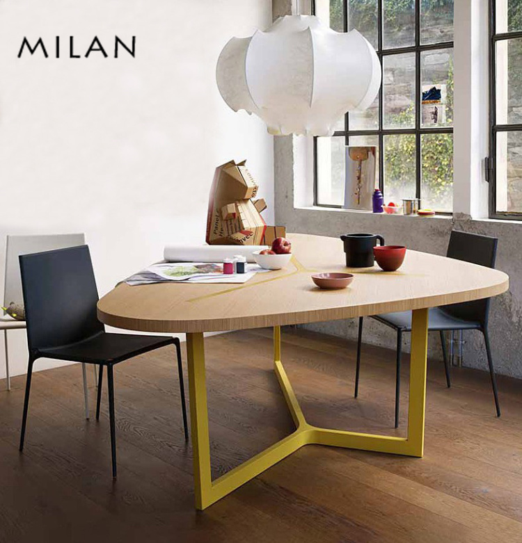 Milan Nordic Alien Desk Dining Table Fashion Baking Lacquered Desk Treepole Minimalist Living-room Table Minimis Modern