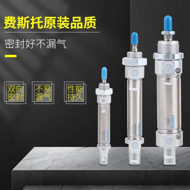 Cylinder ESNU DSU-12-16-20-10 25-32-40-50-80-100-P-100-P-A-PPV-A