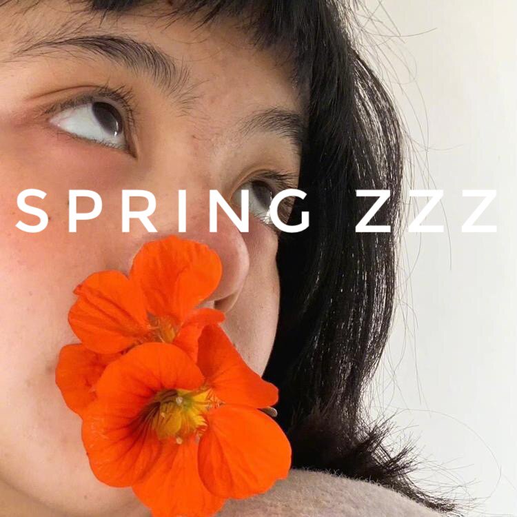 Spring zzz studio的LOGO