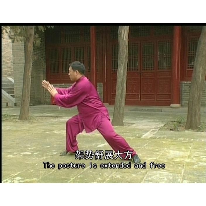 Zhang Dongwu Chen Style Taijiquan Old Frame All the way and practical teaching CD video Chen Style 74 Forms