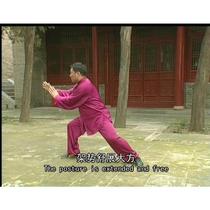 Zhang Dongwu Chen Style Tai Chi Old Form and Practical Teaching CD Video Chen Style 74 Forms
