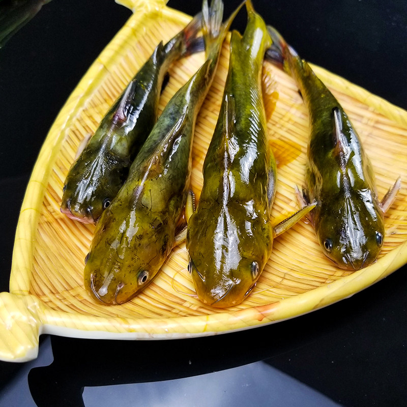 25年必买!鲜活昂刺鱼500g|黄颡鱼小河鱼鲜到掉眉毛的避坑指南-好物推荐-淘宝好物网