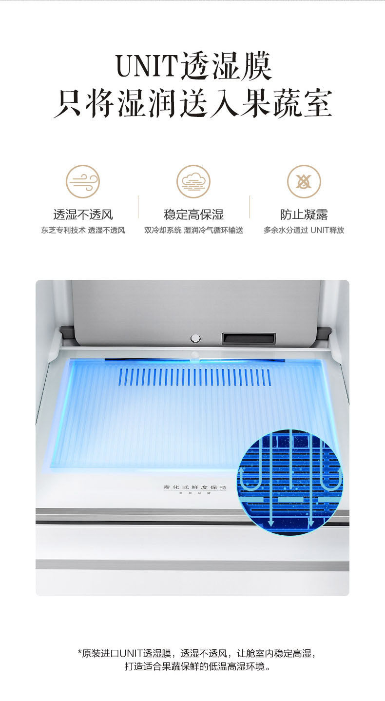 东芝 雾化恒鲜 一级变频 双开门冰箱 548L 图5
