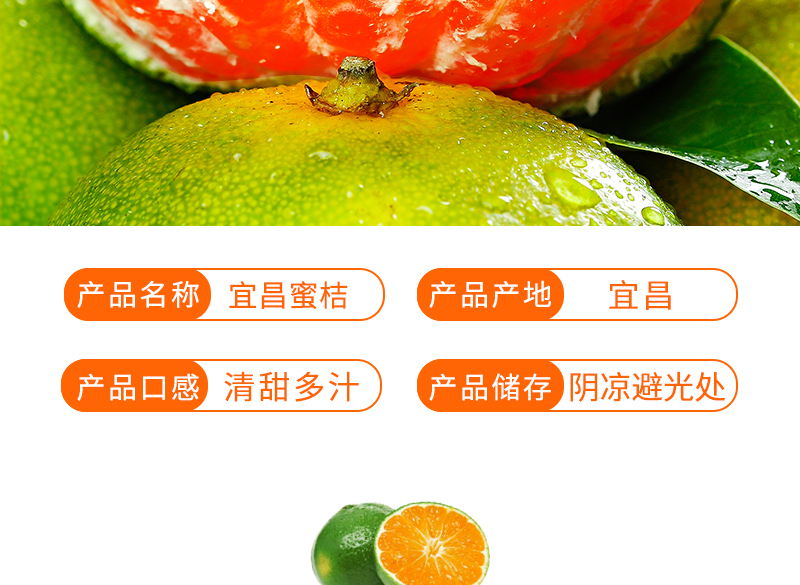 宜昌 新鲜当季无籽蜜桔 9斤 图3