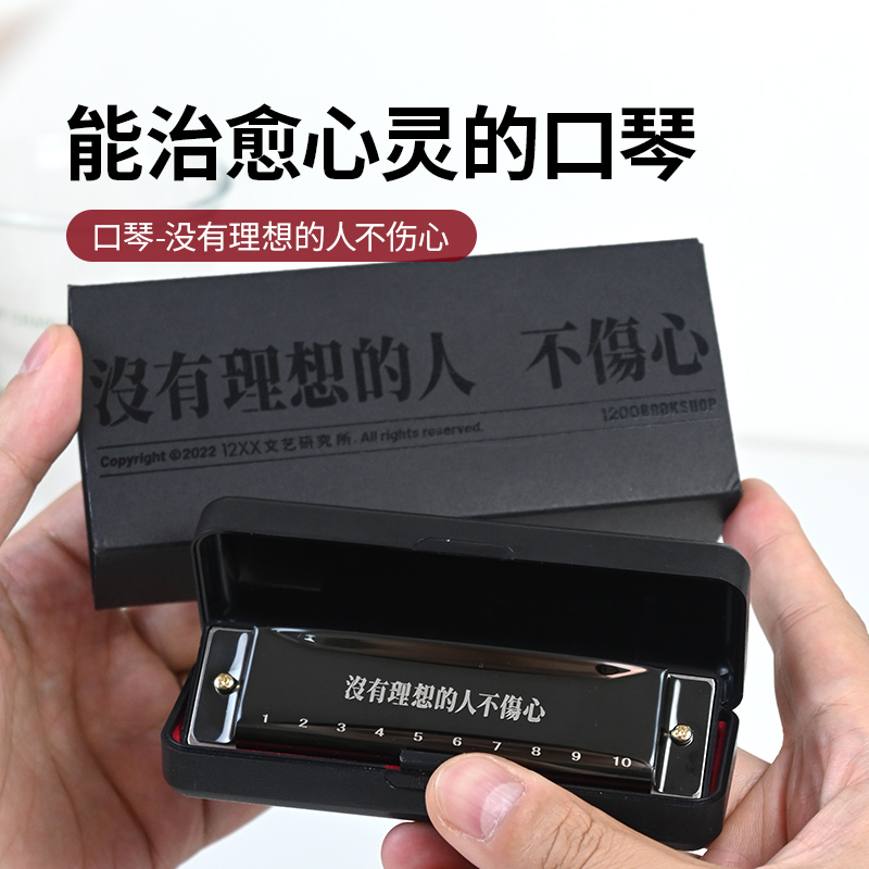 12xx ハーモニカ 初心者向け エントリーレベル ダイアトニック ブルース 10穴ハーモニカ ポリフォニックハーモニカ 本格楽器 ギフト