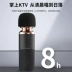Pioneer LM30 micro card âm thanh LM10 tích hợp điện thoại di động máy tính LM11 live K bài hát thiết bị đặc biệt - Micrô