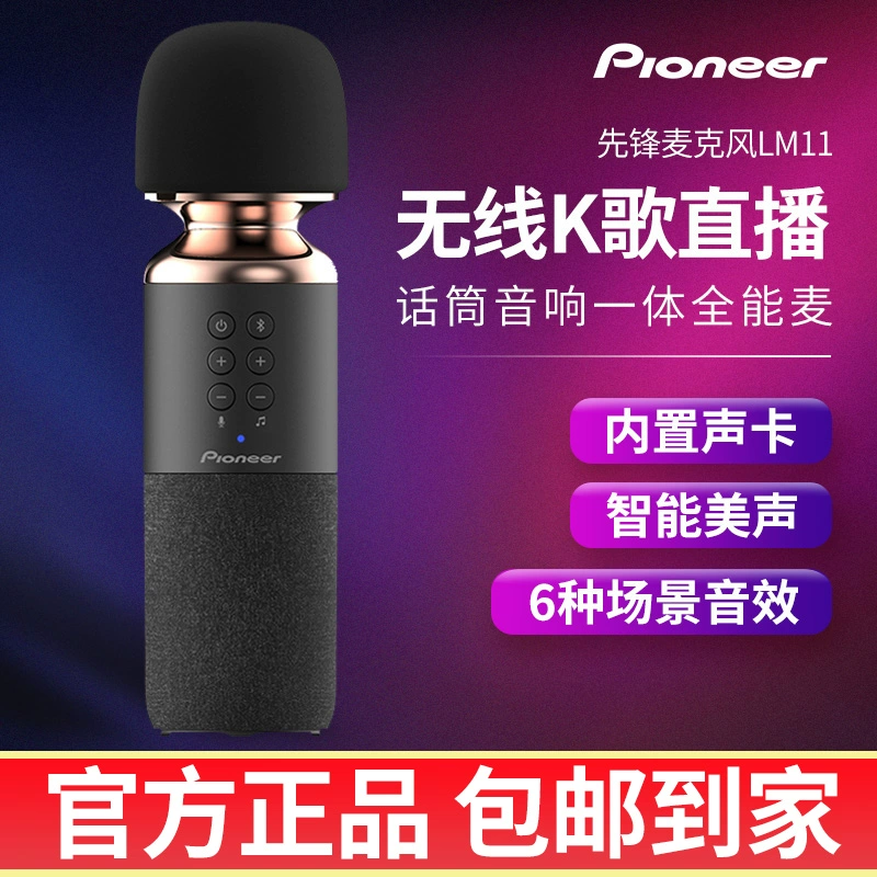 Pioneer LM30 micro card âm thanh LM10 tích hợp điện thoại di động máy tính LM11 live K bài hát thiết bị đặc biệt - Micrô