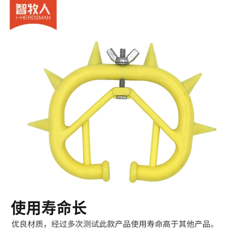 Умная овчарка коровьи шипы носа, разбивая теленка, молоко, корова, корова использует молоко табу -теленка