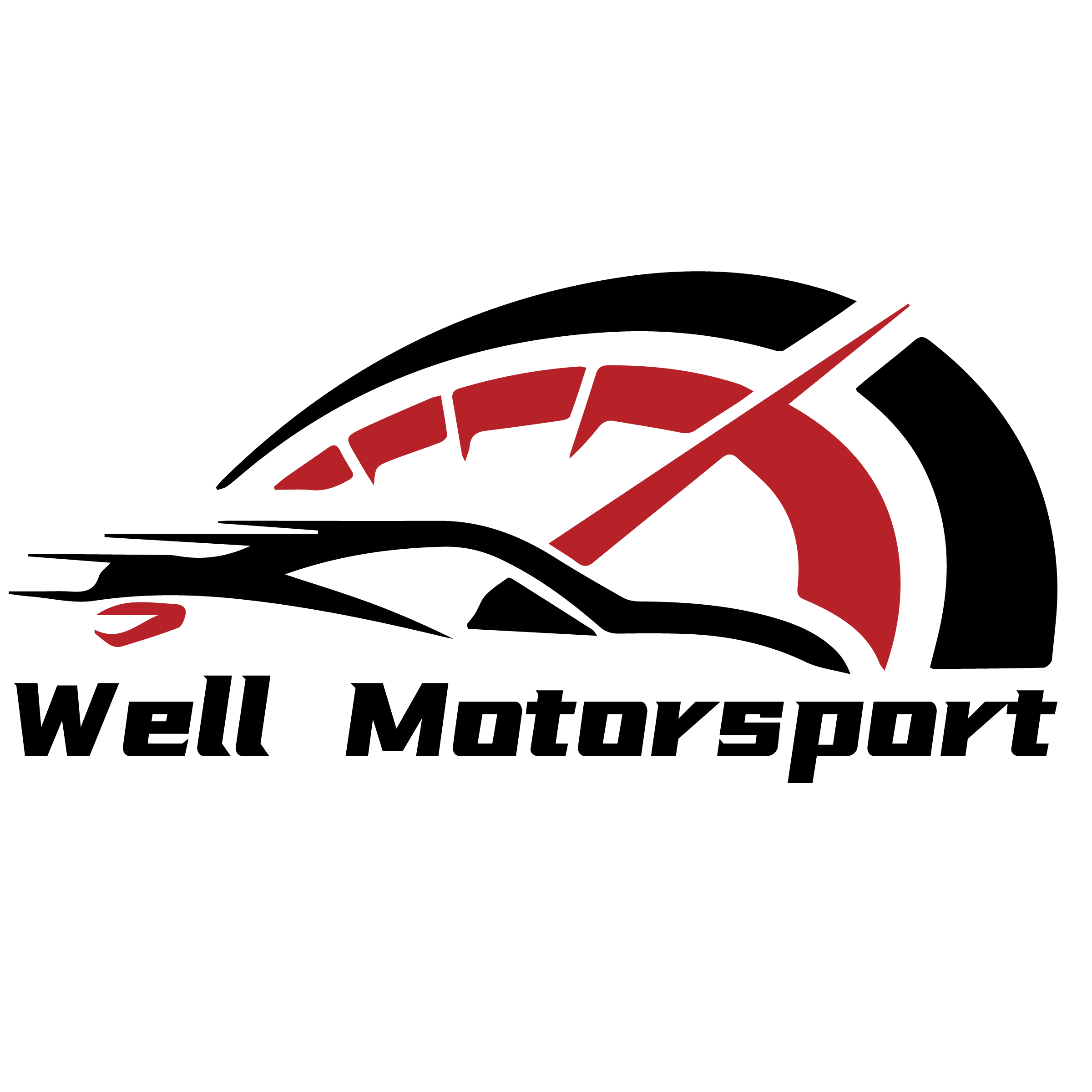 WellMotorsport的LOGO