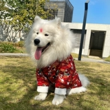 Новогодняя праздничная одежда с большой собакой осень и зимнее платье Два казахо -аляска средняя большие собаки зимние домашние животные