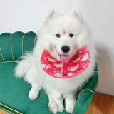 Слюнявчик, шарф, подходит для подростков, увеличенная толщина, хорошо впитывает воду