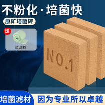 Fish Tank Bacteria Filter Material Nanobellosis Brick Bacilli House Water Purification Biochemical Filtration High-end Filter Material Nitrobacteria