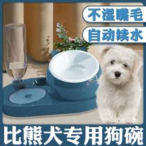 Dog bowl bowl basin with a bear anti-dumping water drinker unwet mouth dog double bowl of small dog supplies large