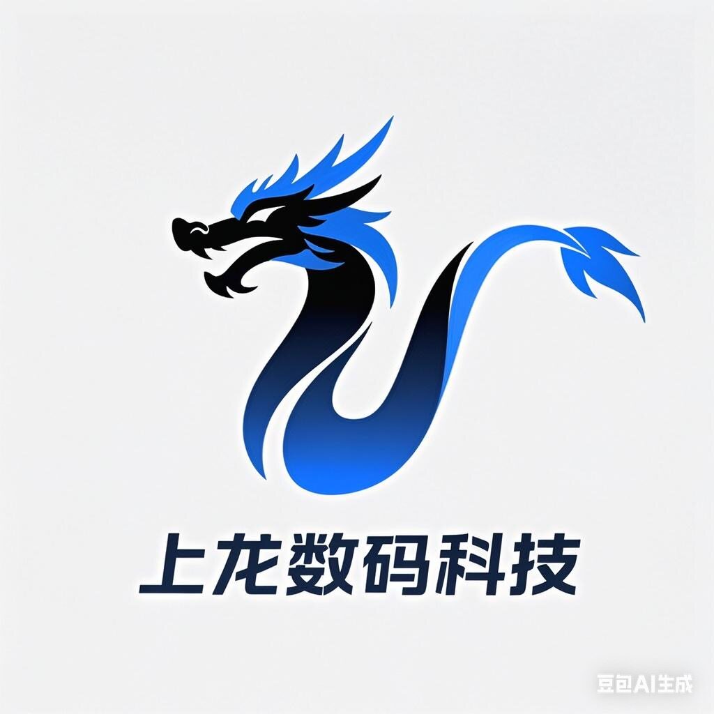 上龙数码科技