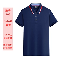 603 Тибетский Цин