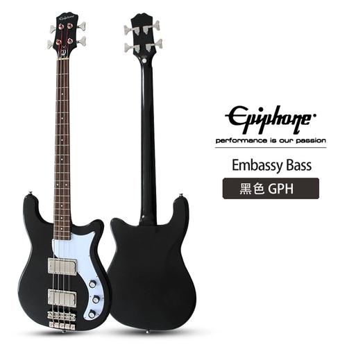 Epiphone Введение в новичок в посольстве, первый четырехселенном электрическом базаре 4 -лингер -бас -инструмент