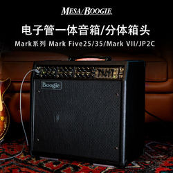 MesaBoogie 튜브 통합 스피커