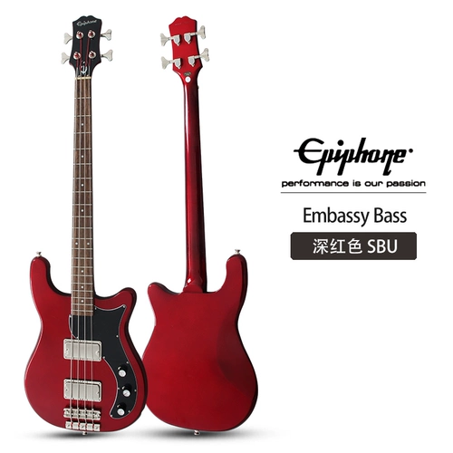Epiphone Введение в новичок в посольстве, первый четырехселенном электрическом базаре 4 -лингер -бас -инструмент