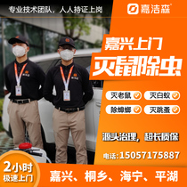 Jiaxing rodent eradication company comes to the door to eliminate mice catch and catch mice kill cockroaches kill insects remove termites control kill and remove four pests