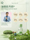 Snns Small Green Bottle Anti-Acne Serum, Oil Control, Fade Acne Marks, Salicylic Acid to Remove Closed Acne, Quickly Reduce Acne
