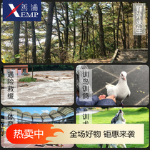 Whistle C1P55-Whistle outdoor camping survival childrens special whistle referee coach metal should