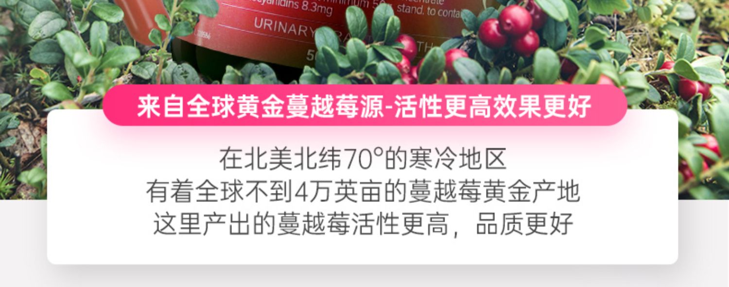 澳洲进口N29纽西臣浓缩蔓越莓胶囊90粒