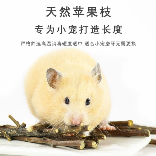 Шлифовальная палочка с небольшим хомяком поставляется с золотыми шелковыми кроличьями, кухня для сосны из морских свинок, натуральная очищающая кальциевая добавка закуски