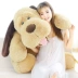 Teddy dog ​​đồ chơi búp bê sang trọng búp bê sang trọng gối dễ thương chó lớn giữ cô gái ngủ - Đồ chơi mềm