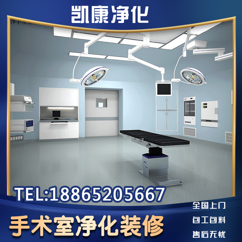 Operating room purification decoration Plastic Surgery Hospital Oral Dental Implant Room Decoration Electrolytic Steel Plate Laminar Flow Purification Board