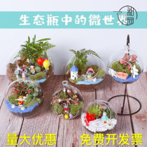 Micro Landscape Diy Material Bag Seaweed Eco Bottle Moss Multi-meat Handmade Glass Bottle Pendulum VIEW PACKAGE