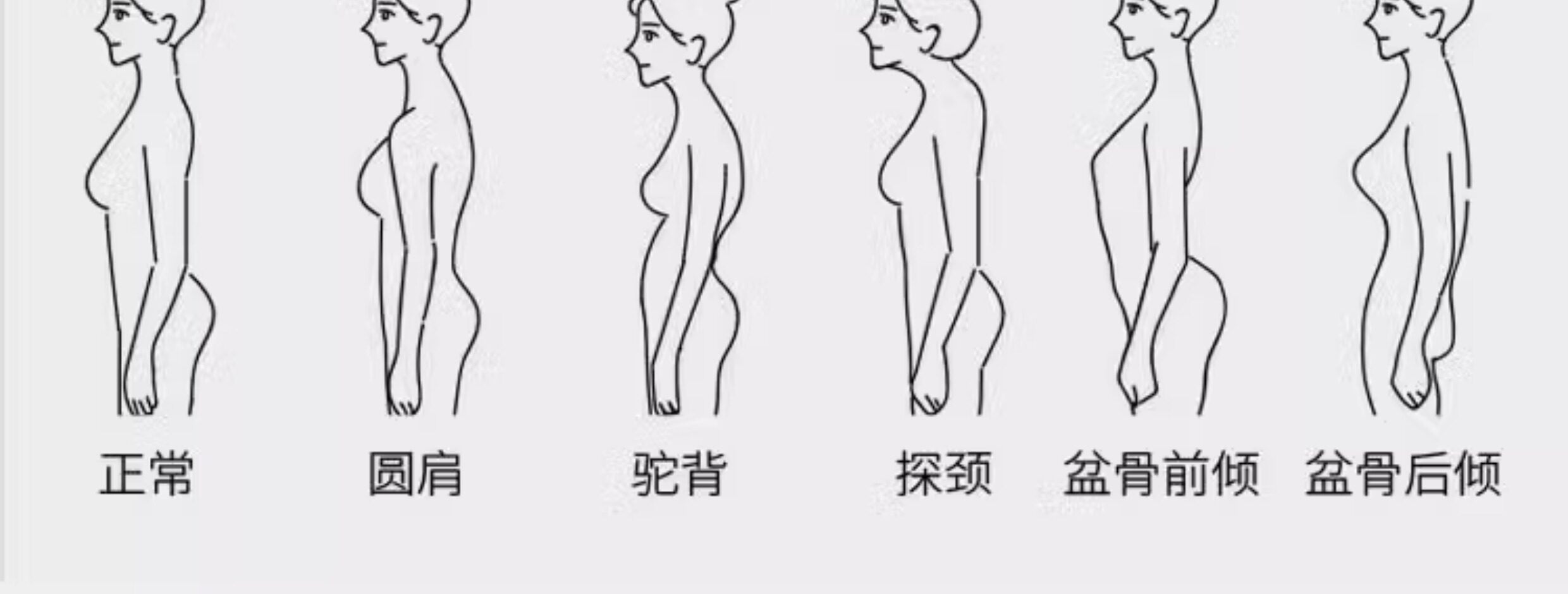 어깨보호용묶음10조