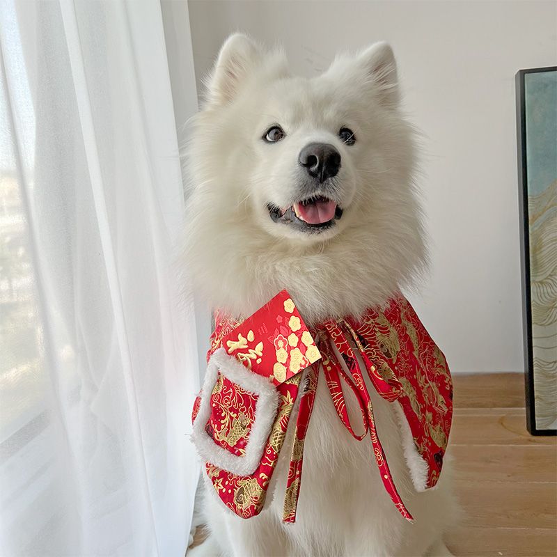 Yeyer's Year of the Year uniforms Puppy Lunar New Year's dog spat with a large canine Samo New Year's purse adornment-Taobao