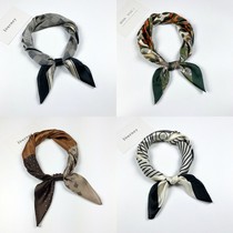 Small silk scarf female ins Korea spring and autumn small square scarf Winter neck scarf Versatile fashion decorative professional scarf