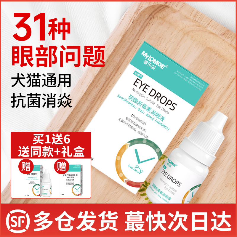 Kitty Eye Drops Nose nose Nose Nose nose Vitriol Neomycin Eye Drops Cold Herpes sneeze Inflammation Drops Nasal Medicine