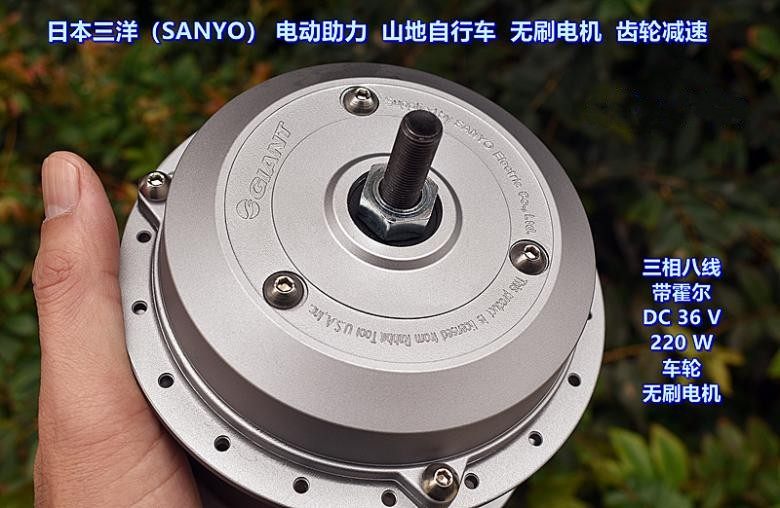[Japan] Electric powerassisted mountain bike DC brushless wheel motor