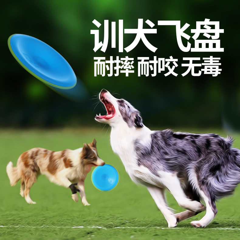 Dog toy pet Frisbee toy molar bite-resistant environmental protection plastic Frisbee dog professional training Frisbee Frisbee