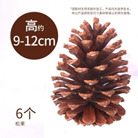 Сосновые конусы [6 установок] высокая 9-12 см высотой