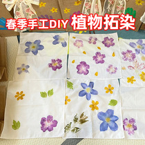 Plant dyeing material package printing and dyeing kindergarten childrens handmade DIY pure natural flowers grass and leaves in spring