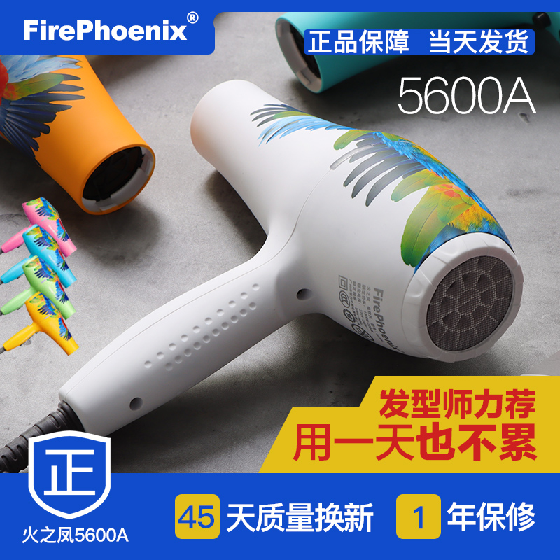 Fire's Phoenix Hair Dryer 5600A Hair Stylist Hair Salon Special Silent Home Silent High Power
