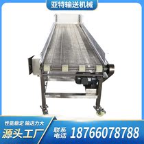 Direct sales 304 stainless steel mesh belt conveyor High quality customizable fruit and vegetable cleaning line mesh belt conveyor