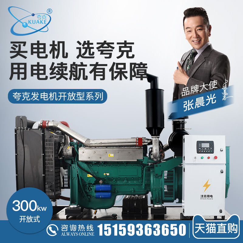 Quark Weifang 300kw Diesel Generator Set 300 KW Hotel Guesthouse Standby Power Brushless Fully Automatic