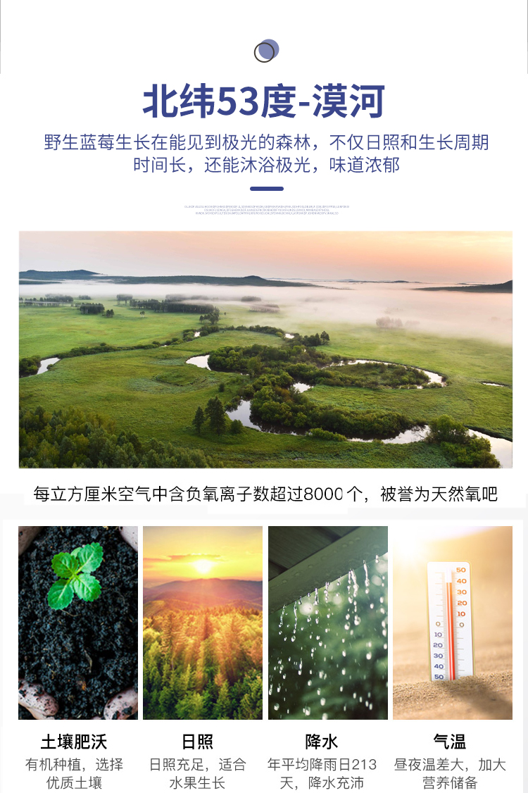 野生蓝莓生榨，保护视力：30mlx10袋 五行健 蓝莓原浆营养饮料 24.9元包邮 值值值-买手聚集的地方