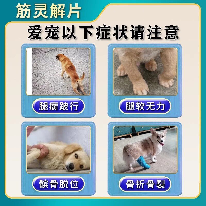 狗狗后腿无力怎么办？如何有效治疗腿瘸和髌骨脱位？-猫狗通用营养膏-淘宝百科网