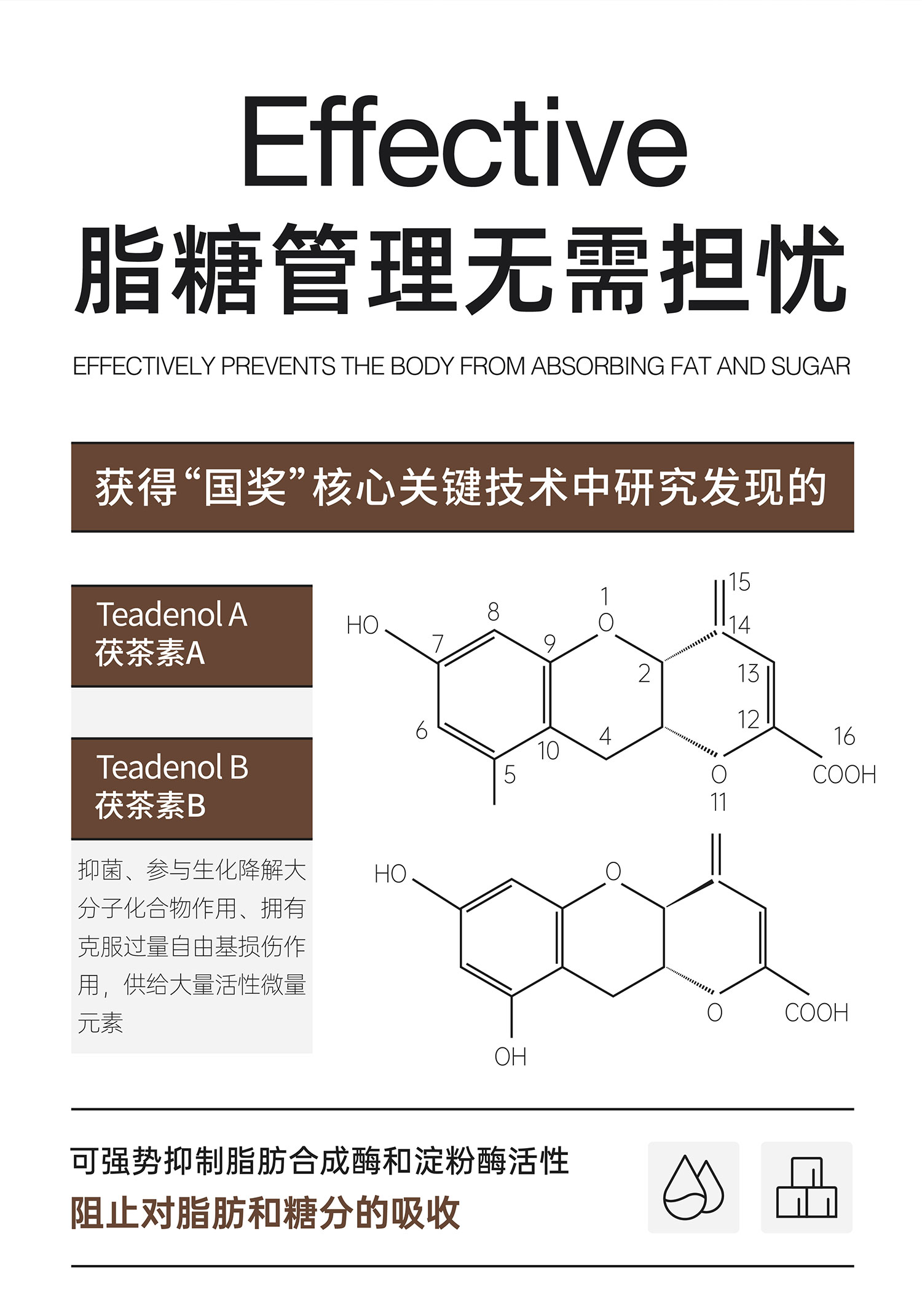 【未来可7】金花黑茶益生菌茶饮